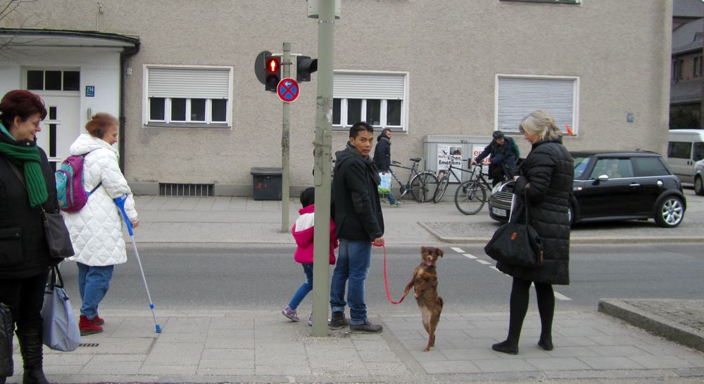 MVV / MVG Hunde von München 5